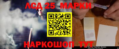 Альфа ПВП Будённовск