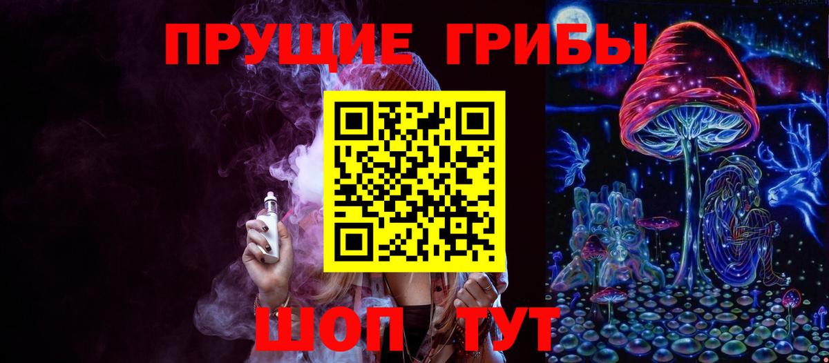 хочу наркоту  Вход с VPN  Северобайкальск  Псилоцибиновые грибы GOLDEN TEACHER  Псилоцибиновые грибы Psilocybe 